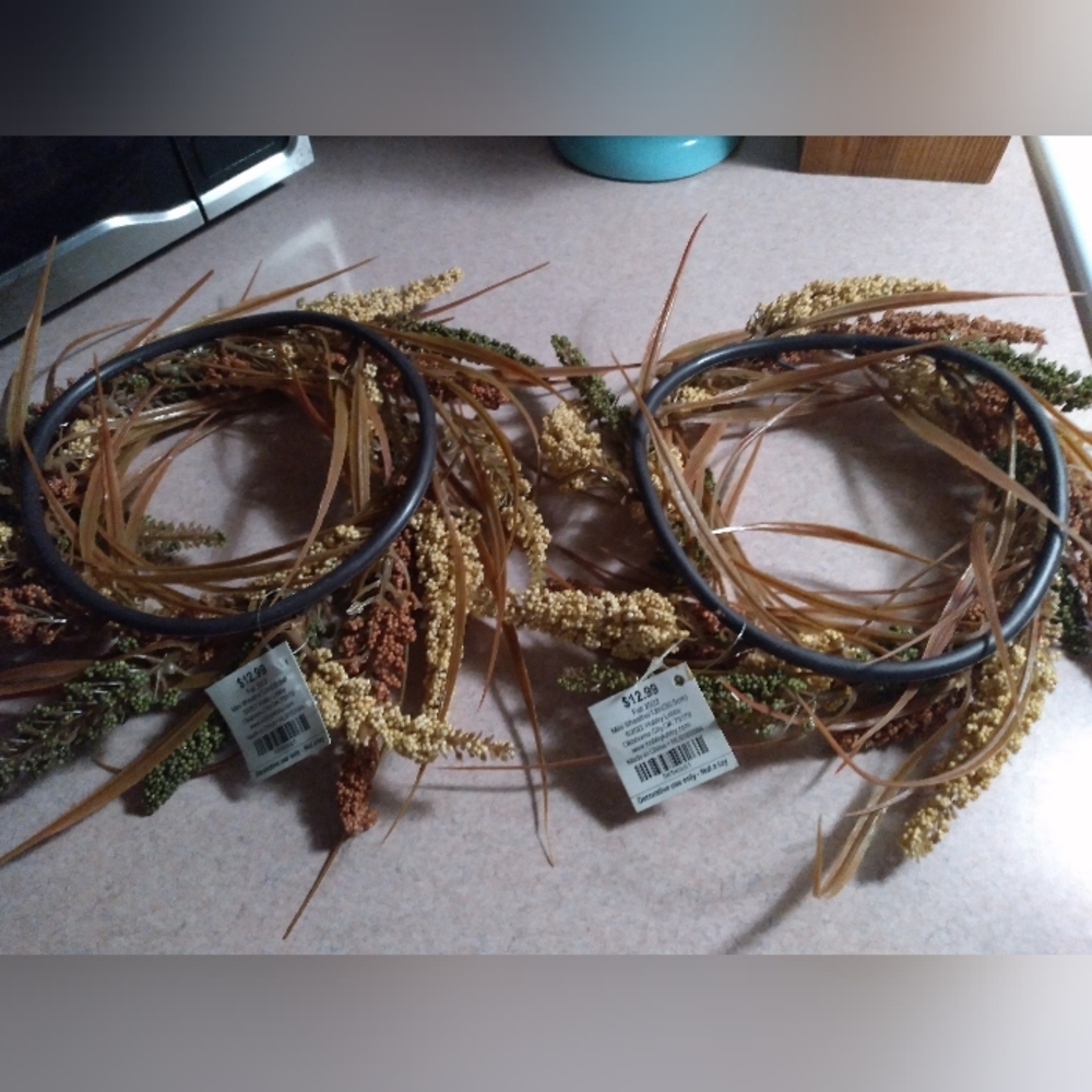 Hobby Lobby Mini Wreaths Bundle (2) - Picture 3 of 3